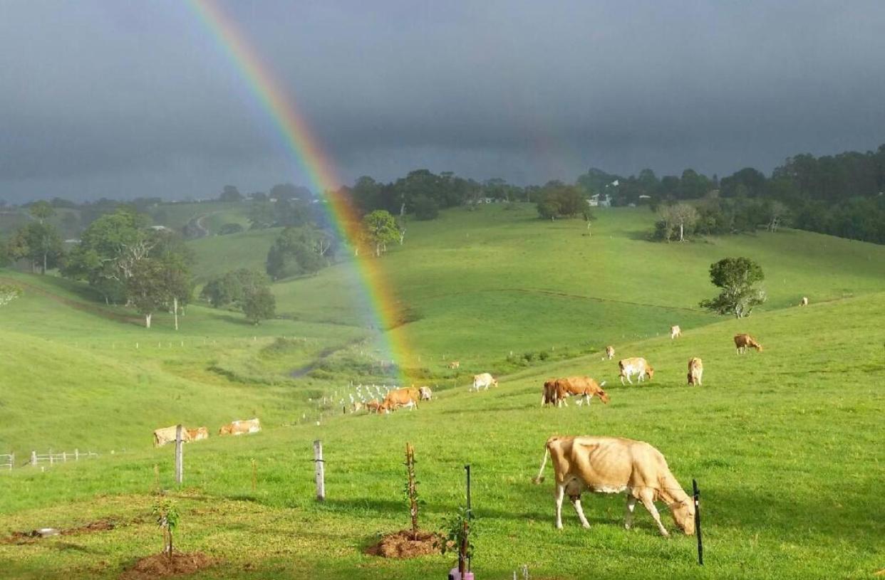 Monet Holiday home Maleny